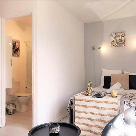 Le Trianon ~ Ideal Couple ~ Lumineux & Calme Apartmán Pau