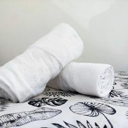 Le Trianon ~ Ideal Couple ~ Lumineux & Calme Apartmán Pau